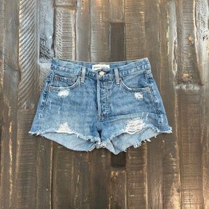 Denim Forum (Aritzia) The Ex Boyfriend Shorts